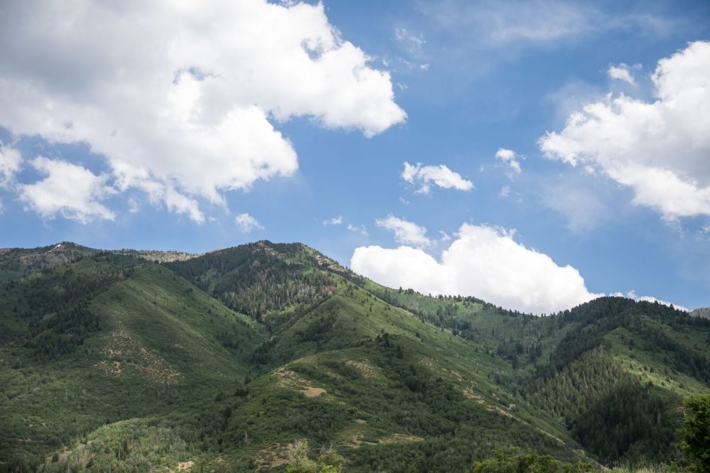 Mountain Valley Range