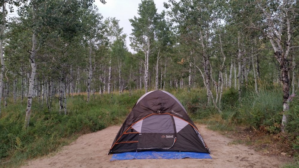 Little Deer Creek Campsite