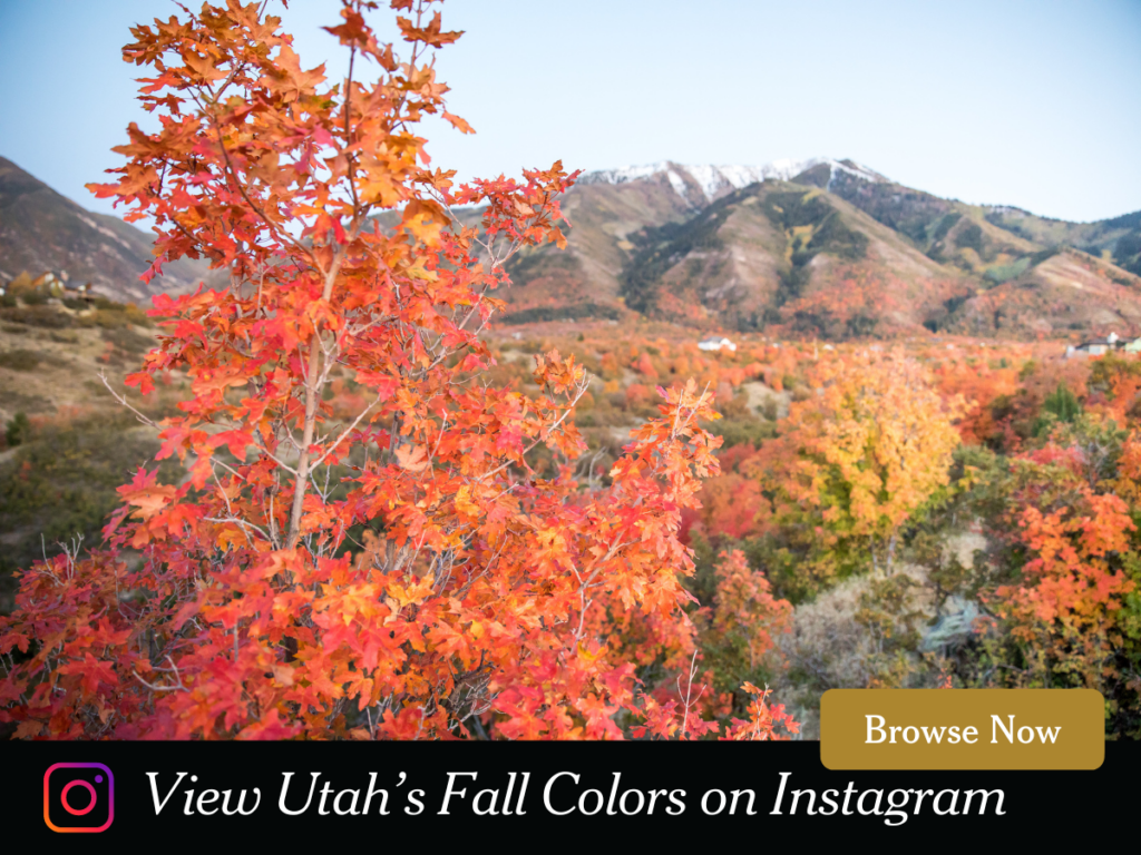 Utah Fall Colors on Instagram