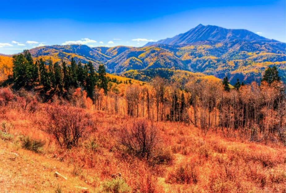 Nebo loop: the best of Utah fall colors for avoiding the crowds. 