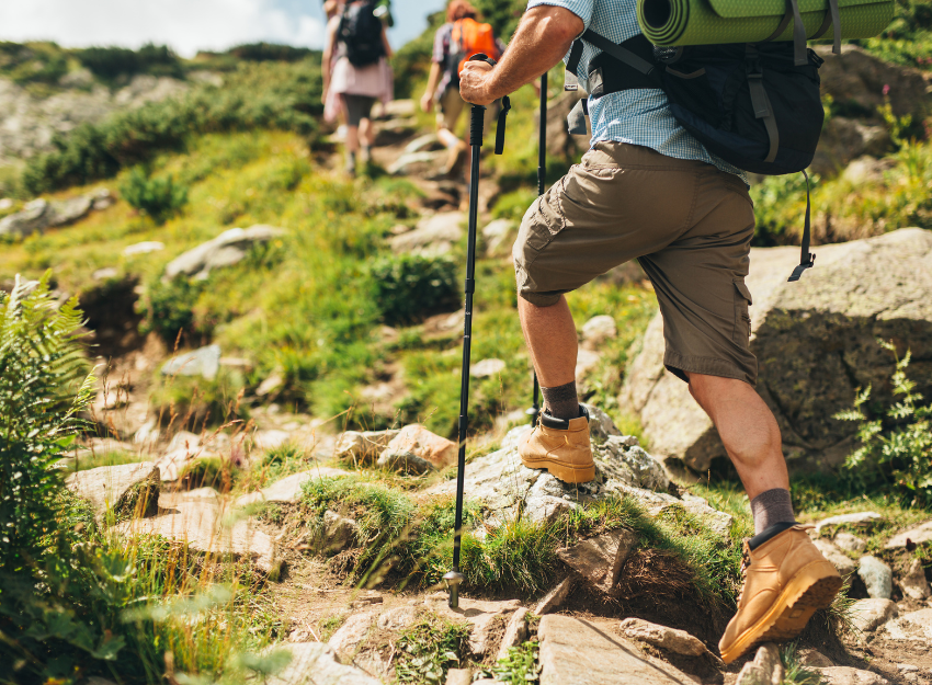 Hike in and around the wasatch each fall to take in the cool weather and stunning colors. 